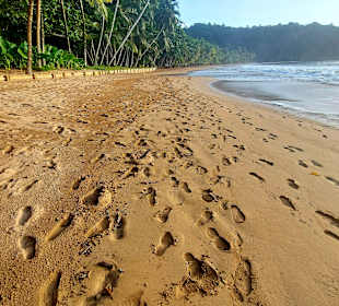 Strände Principe Praia Bom Bom