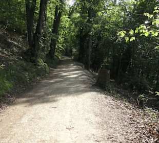 Burgruine Hohenstaufen