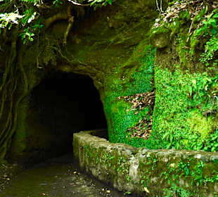 Naturpark Queimadas & Levada do Caldeirão Verde