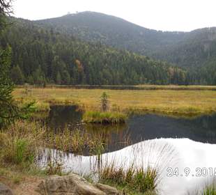 Großer Arbersee mit schwimmenden Inseln