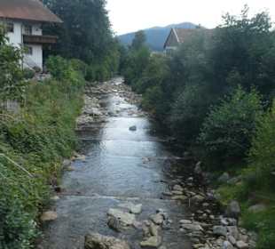 Bei unseren Spaziergängen in / bei Bodenmais