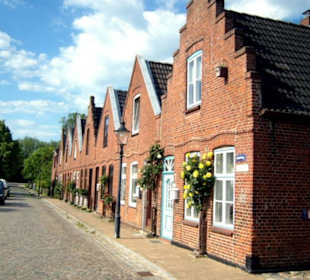 Ein Rundgang durch die "Rosenstadt" im Sommer 