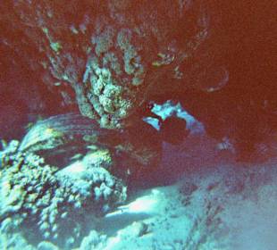 Schnorcheln bei Hurghada