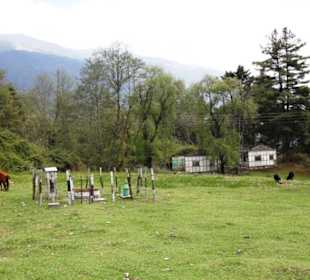 Restaurant Bunagu Tourist Cafeteria