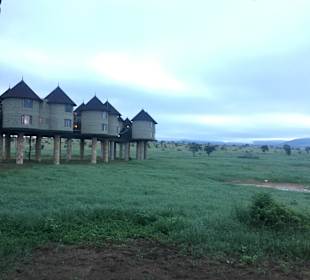 Taita Hills Reservat
