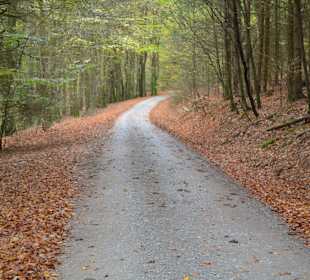Wandern Dammbach