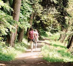 Wandern Winden im Elztal