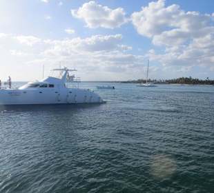 Zurück im Hafen von Bayahibe