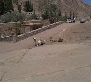 Ausflug zum Katharinen Kloster