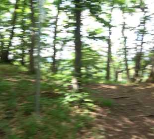 Premiumwanderweg "hochgelegen"