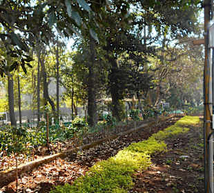 Kamala Nehru Park