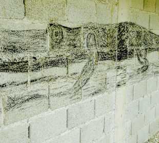 Krokodil in der Farm