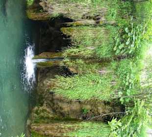 wunderschöne Natur pur