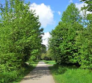 Rundgang durch den Achterdiekpark