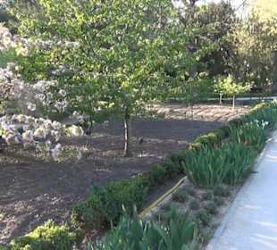 Real Jardín Botánico de Madrid