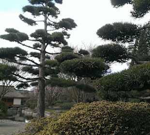 Japanischer Garten