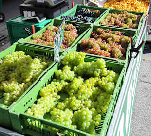 Rundgang über die Salzburger Schranne