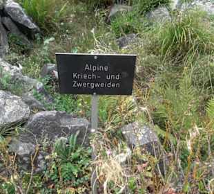 Alpinum