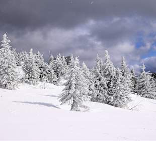 Wandergebiet Großer Arber