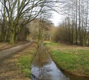 Naturschutzgebiet