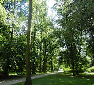 Lazienki Park