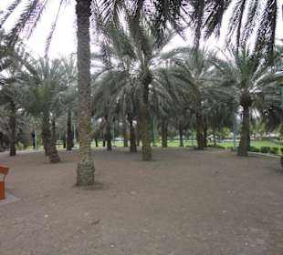 Jumeirah Beach Park