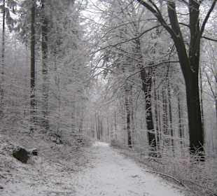 W drodzę na Ślężę