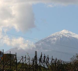 Teide