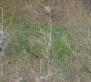 Naturdenkmal Sonnenberg Ausblick