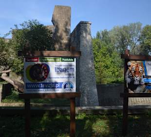 Zoo