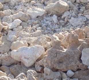 Co można napotkać w wodzie