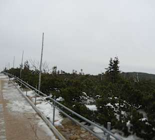 Schneekope/Śnieżka