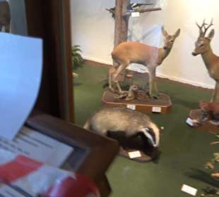 Natur- und Jagdmuseum