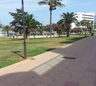 Promenade in Cala Millor
