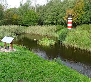 Im Feuchtbiotop des Natureum Niederelbe
