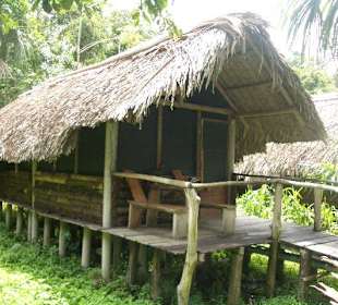 Unser Haus im Dschungelcamp