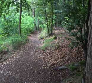 Museum Römer und Bajuwaren