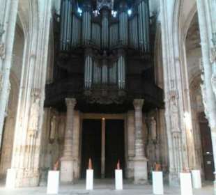 Grosse Orgel.
