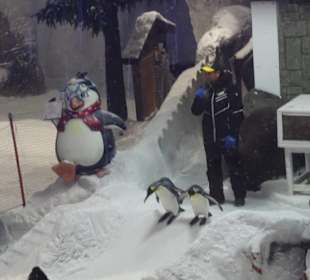 Stadtrundfahrt Dubai