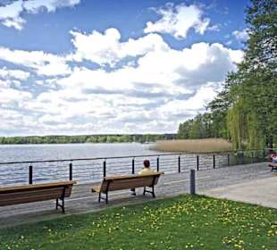 Scharmützelsee Nordufer