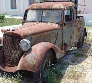 Bei einem Ausflug entdeckt 