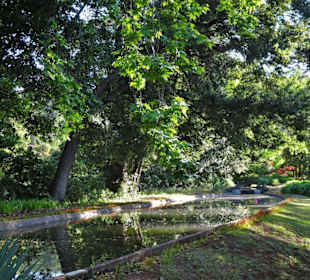 Eindrücke vom Rundgang durch Blandy´s Garden