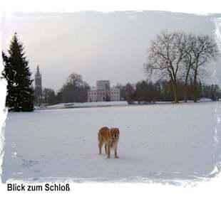 Wörlitz im Winter