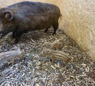 Národní zemědělské muzeum