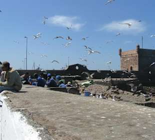 Essaouira: Hafen, Möven, Wind