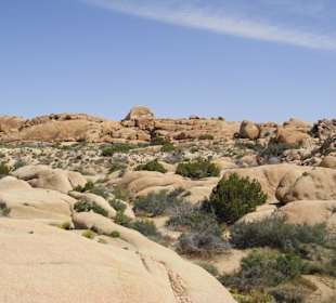 Joshua Tree National Park