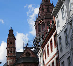 Blick vom Kirschgarten zum Dom