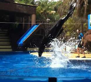 Oasis Park - Fuerteventura