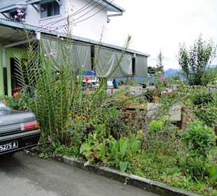 Ausflug Wildfife Expeditions- Rastplatz