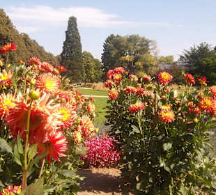 Mit dem Rad in Daliengarten von Bad Neuenahr